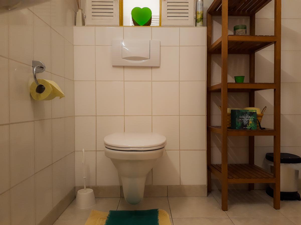 Ferienwohnung Nahe Fuschlsee, Hof Bei Salzburg Hof bei Salzburg Exterior foto