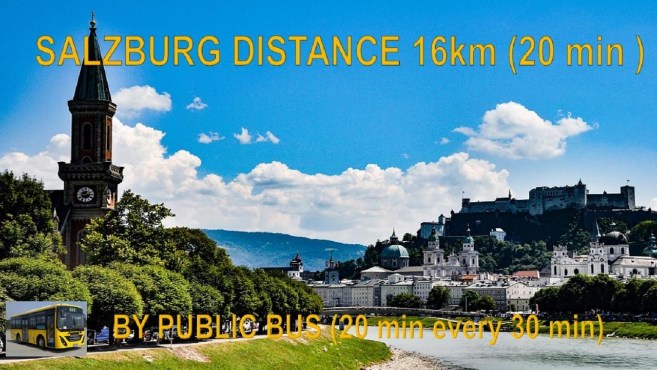 Ferienwohnung Nahe Fuschlsee, Hof Bei Salzburg Hof bei Salzburg Exterior foto
